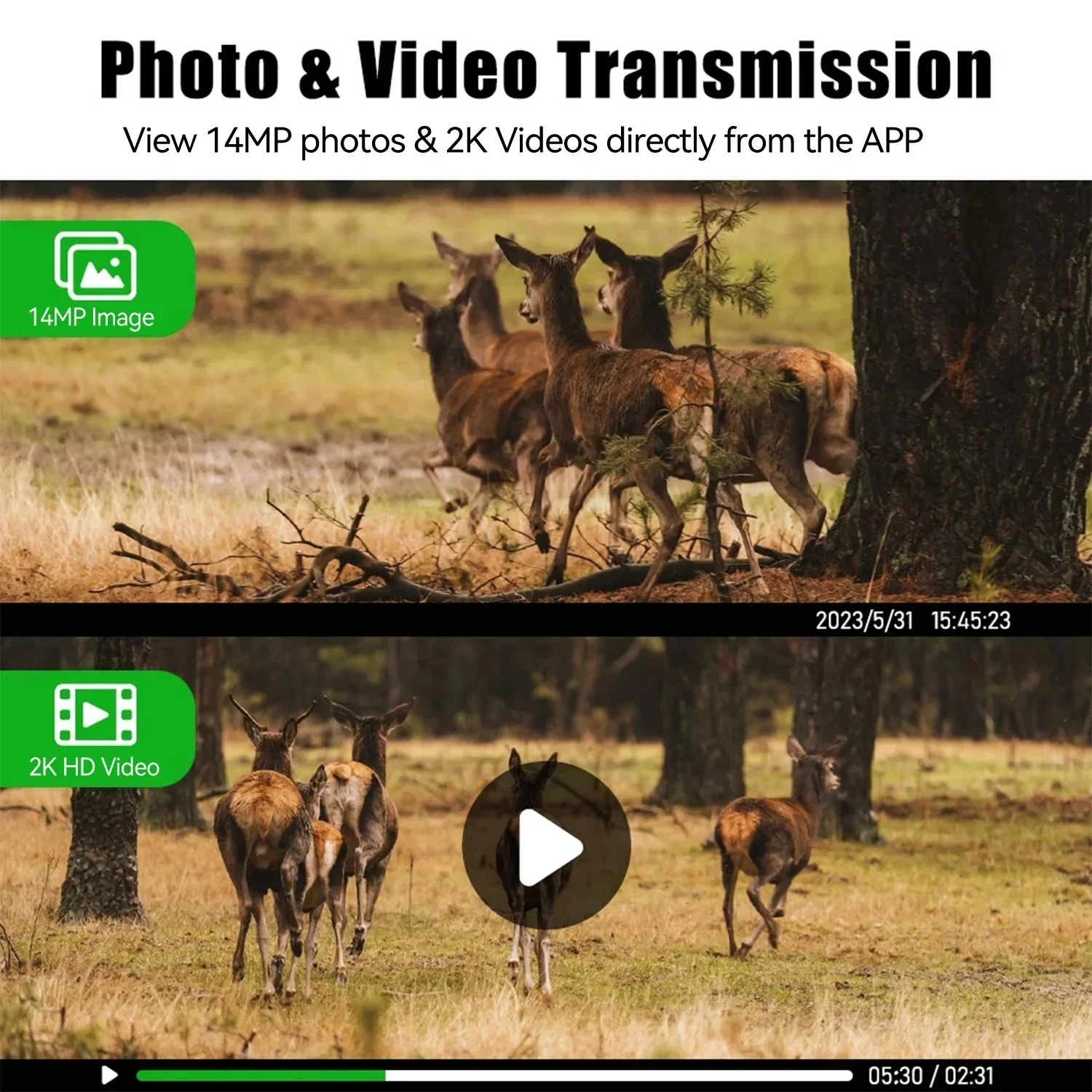EU 4G LTE Cellular Sim Card 2K - Hunting Outdoors Card recension och pris