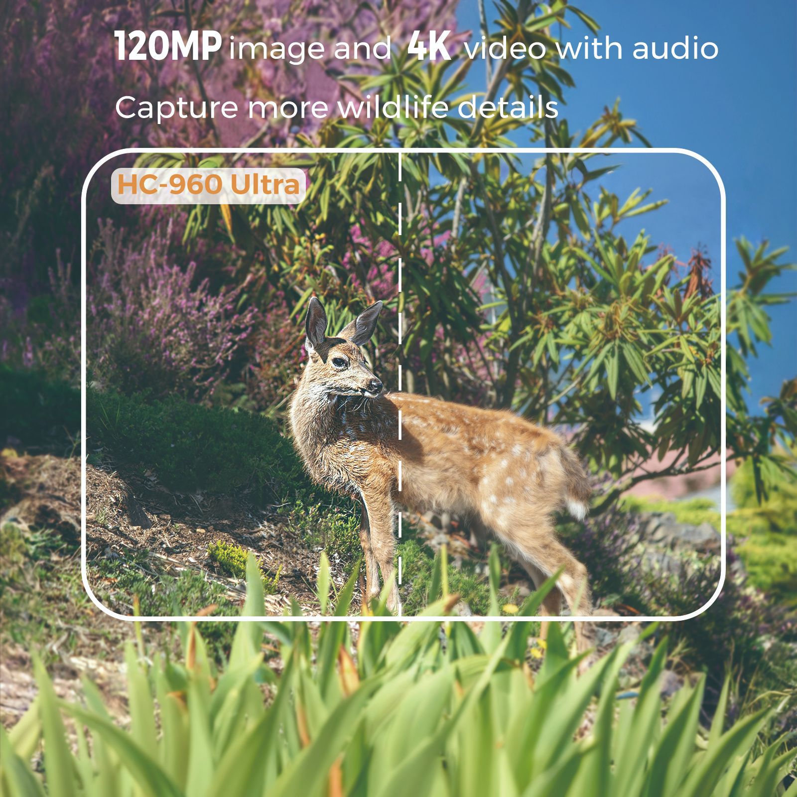 Outdoor 4K Video 120MP Photo 4 - Hunting Outdoor Camera recension och pris