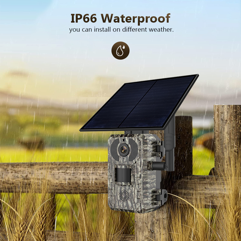 4G 4MP Outdoor Wildlife Huntin - Hunting Outdoor Camera recension och pris