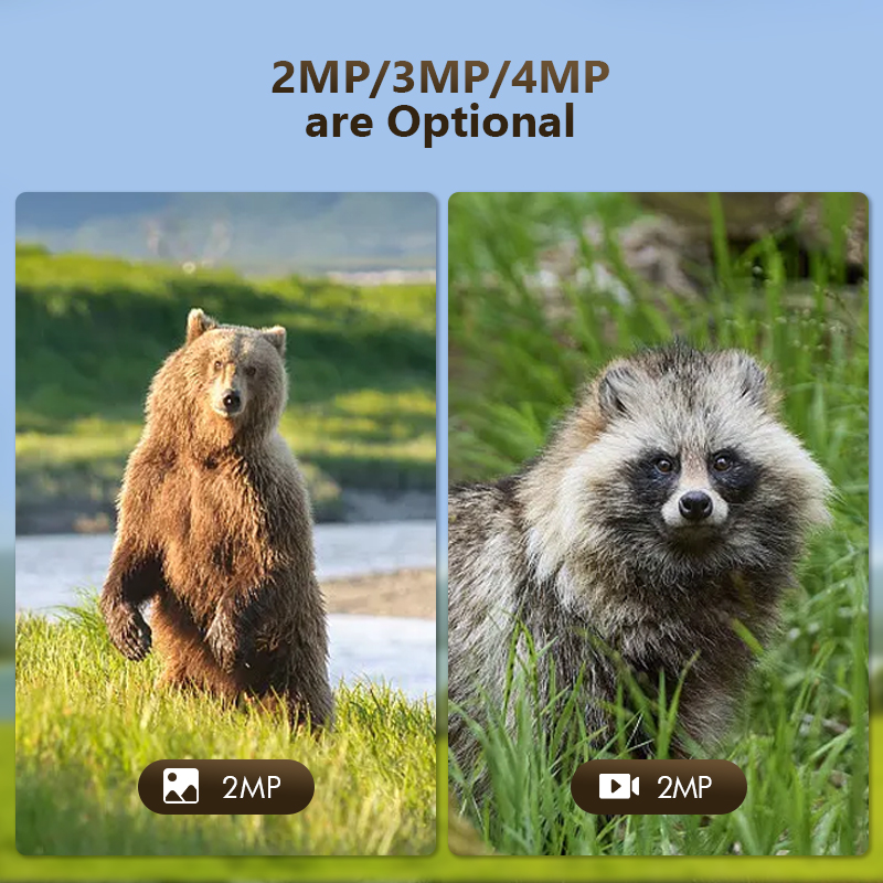 4G 4MP Outdoor Wildlife Huntin - Hunting Outdoor Camera recension och pris