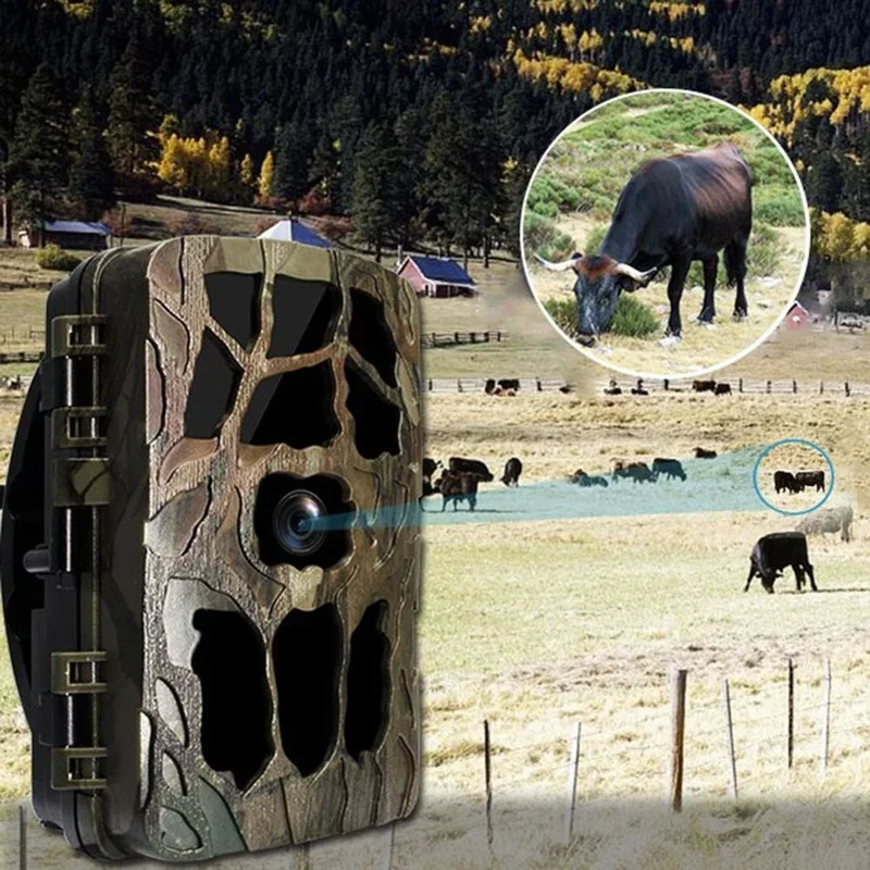 H982 IP66 Waterproof 4K Outdoo - Outdoor Hunting Images recension och pris